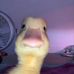 Sasha Maxine A Strong - @lol5r2 - Instagram