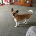 Maxine Sullivan - Facebook