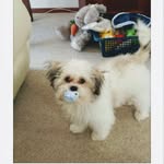 Maxine Tate - @maxinetate898 - Instagram