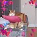 Maxine Terry - Facebook