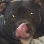 Maxine Tucker - @ididieieieieoeooeoeooeo - Instagram