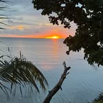 Maxine D Walter - @donremax - Instagram