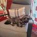 Maxine Wells - Facebook