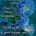 Maxine Wilkinson - Facebook