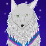 Maxine The Wise Wolf - @maxine.wolfie - Instagram
