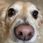 Max - @maxwell.alexander_ - Instagram
