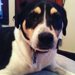 max - @maxwell_barlow21 - Instagram
