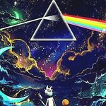Maxwell_Barr - @maxwell_barr19 - Instagram