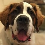 Maxwell Barnaby Bernard - @maxwell_barnaby_bernard - Instagram