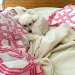 Maxwell Bernard Radford IV - @maxwell_bernard_radford_iv - Instagram