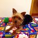 Maxwell Carroll - Facebook