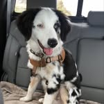 Cash Maxwell - @cash.maxwell.aussie - Instagram