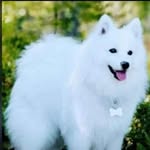 Maxwell Chan - @maxw.ell223753 - Instagram