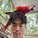 Maxwell Chan - @max_chan1005 - Instagram