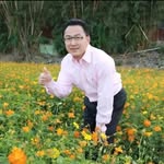 Maxwell chan - @maxwellchan959 - Instagram