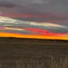 maxwellchandler98 - @maxwellchandler98 - TikTok