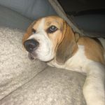 Maxwell - @maxwell_coleman12 - Instagram
