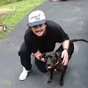 Max Collins - @maxwell.collins - TikTok