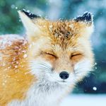 Maxwell Collins - @m.collinsp_ - Instagram