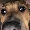 maxwellconway913 - @maxwellconway913 - TikTok