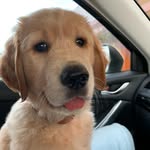 Barry Maxwell Day - @barry_maxwell_day - Instagram