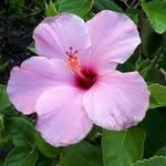 Catherine Maxwell-Day - @maxwelldaycatherine - Instagram