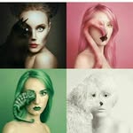 dayna maxwell - @maxwelldayna54 - Instagram