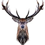 James Maxwell-Day - @nobilityappraisals - Instagram