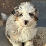 @maxwell90day - Instagram