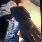 Maxwell Day - Facebook