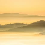 Dean Maxwell - @dean.maxwell.14 - Instagram