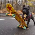 @max_welldean - Instagram