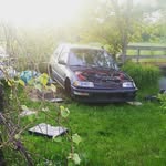Johnathan Duffy - @j_maxwellduffy - Instagram
