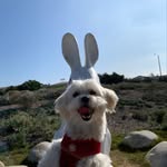 Maxwell - @maxwell_duffy - Instagram