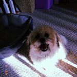 maxwell duncan - @maxwellduncannn - Instagram