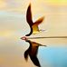 Maxwell Duncan - Facebook