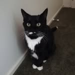 Maxwell Ford - @thatspontaneous1 - Instagram