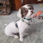 Maxwell Ford Boelman - @maxwellfordboelman - Instagram