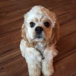 Maxwell Gilmore - @maxwell.gilmore - Instagram
