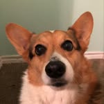 Maxwell Harmon - @max_harmon2008 - Instagram