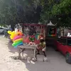 Maxwell Henry - @maxwell.henry12 - TikTok