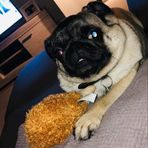Maxwell Holden - Facebook