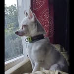 Maxwell Jackson - @maxwell__jackson__ - Instagram