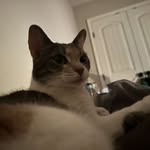 Maxwell Johnston - @hexforev - Instagram