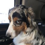 Maxwell Lloyd - @maxwelloyd3313 - Instagram