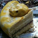 @maxwell_lopez_ - Instagram