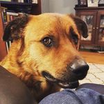 Maxwell Martin-Lyons - @maxwellmahtinlyons - Instagram