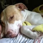 Maxwell Marshall - @alloutyolo - Instagram
