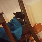 Maxwell Meyers - @maxwell.meyers - Instagram