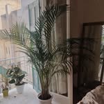 @maxwell.mills.5185973 - Instagram